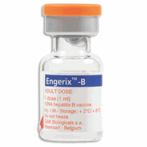vắc xin engerix B 1ml ngừa viêm gan b người lớn